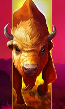 Big Wild Buffalo